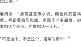 吃瓜群众的性质,网络时代的围观者与传播者