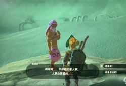 塞尔达 沙漠 吃瓜