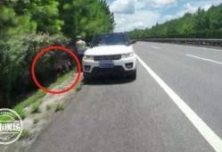 高速上吃瓜爷爷,吃瓜爷爷的意外走红